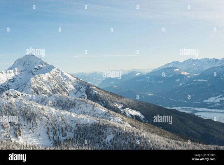 Conquering Winter: A Comprehensive Guide to Snow Tracks For Trucks Prices and Value