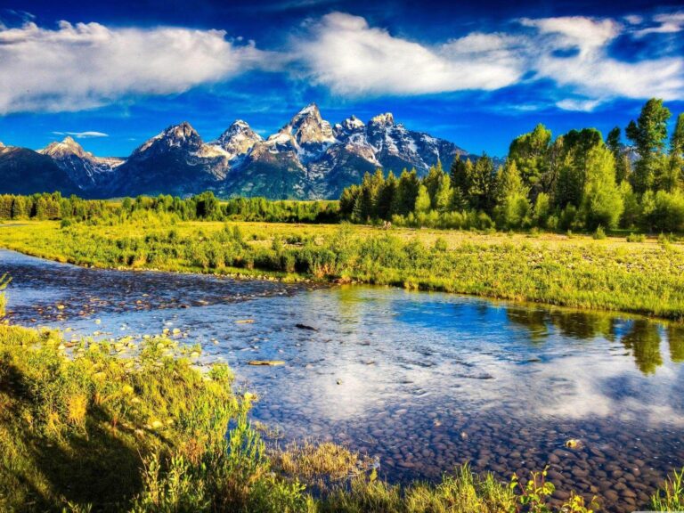 Drive Smarter, Save More: Your Comprehensive Guide to Natural Gas Pickup Trucks For Sale