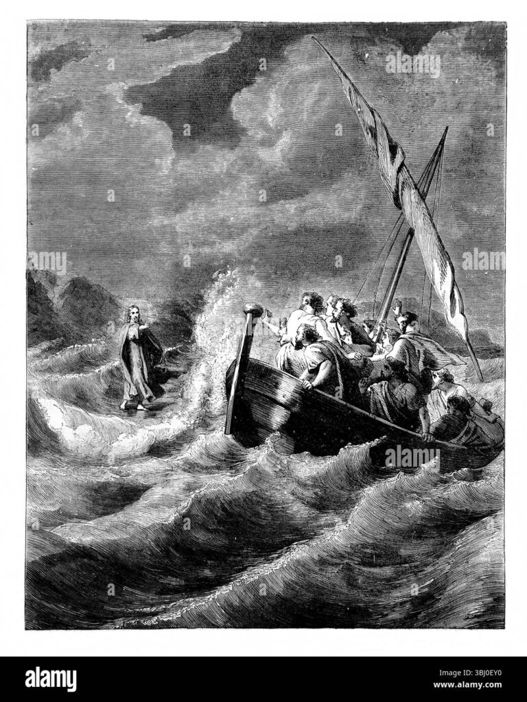 Driving Forward: The Ultimate Guide to Finding New CDL Trucks For Sale