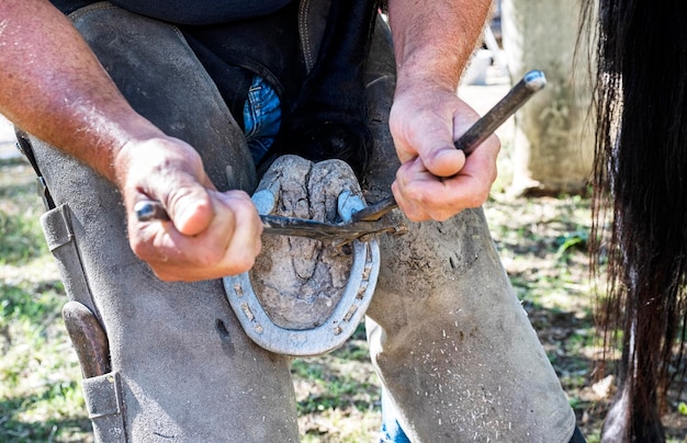 Farrier Rig For Sale: Your Ultimate Guide to Buying the Perfect Mobile Workshop