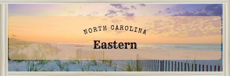 The Ultimate Guide to Finding Used Trucks For Sale In Eastern North Carolina