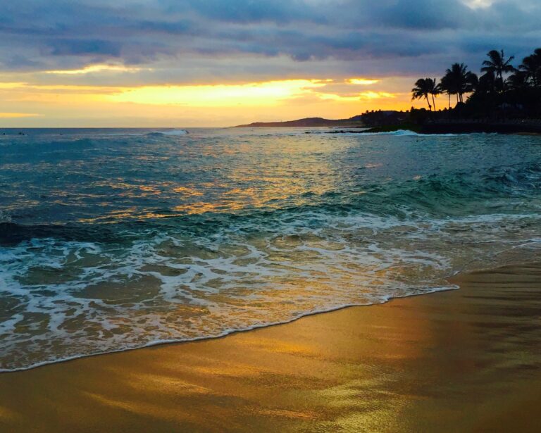 The Ultimate Guide to Finding Your Dream Beach Truck: What to Look For and Where to Find Beach Trucks For Sale