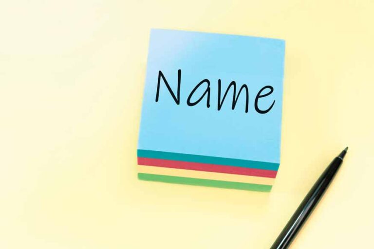 The Unconventional Conqueror: Why "Name Of The Car Bit Of A Truck" Redefines Versatility