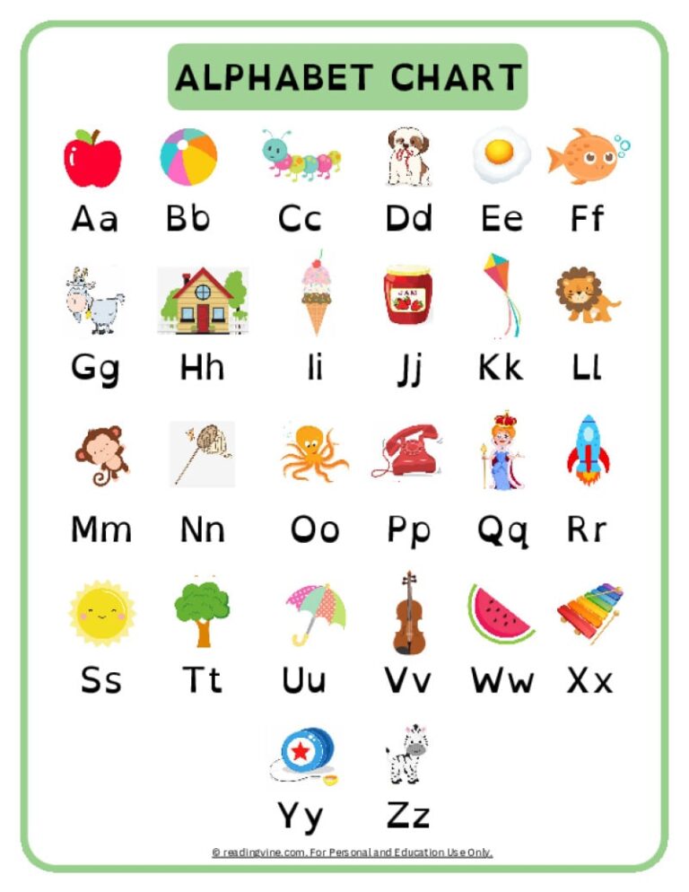 The Unseen Backbone: Why a Superior Abc Truck Body Drives Your Business Forward