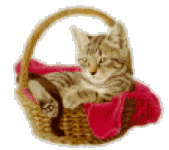 U-Haul One-Way Rental Prices: Your Ultimate Guide to Budgeting for a Seamless Long-Distance Move