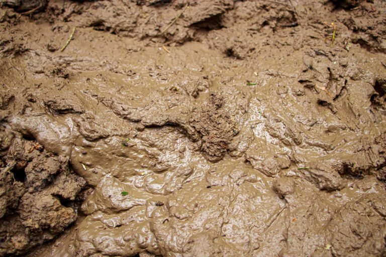 Unleash the Beast: Your Ultimate Guide to Finding the Perfect Mud Truck For Sale