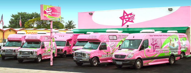 Unleash Your Mobile Business: The Ultimate Guide to Finding Your Perfect Grooming Truck For Sale