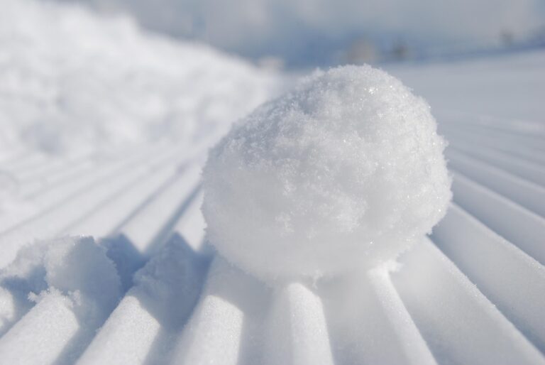 Unleashing Sweet Success: The Ultimate Guide to Finding Snowball Trucks For Sale