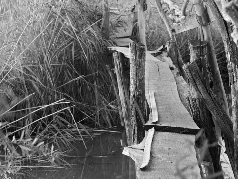 Unleashing the Legend: Your Ultimate Guide to Finding Old Trucks For Sale in Reno