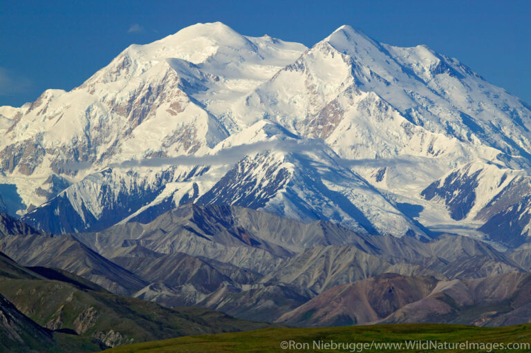 Unlock Luxury and Capability: Your Ultimate Guide to Finding Denali Used Trucks For Sale