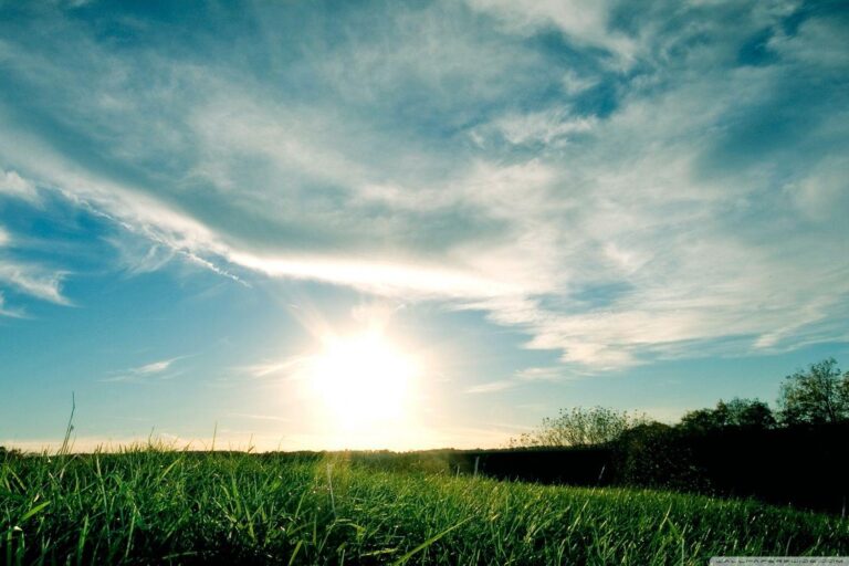 Unlock Your Fleet’s Potential: The Ultimate Guide to Day Cab Trucks For Sale Ryder