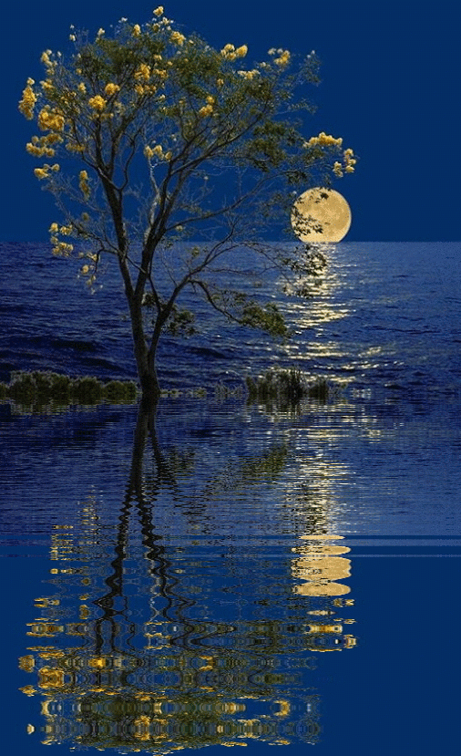 Unlocking the Best Deals: Your Ultimate Guide to Las Vegas Craigslist Cars and Trucks For Sale By Owner